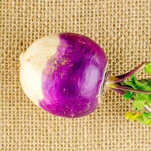 300+ Purple Top White Globe Turnip Seeds, Brassica rapa, White Root Vegetable image 4