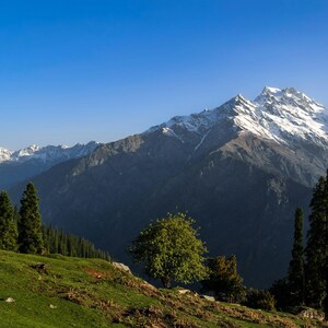 May include: A landscape view featuring a grassy green hillside in the foreground with scattered trees. In the background, tall, rugged mountain peaks are covered in white snow under a clear, bright blue sky during the daytime.