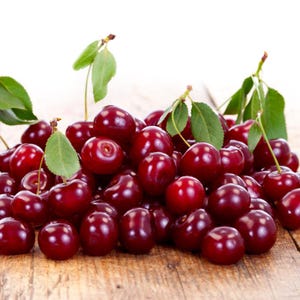 Más de 20 semillas de cereza dulce del Himalaya, Prunus avium, cerezo silvestre. imagen 1