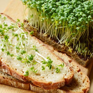 Meer dan 300 tuinkerszaadjes, Lepidium sativum, Halim, Microgreens kruiden afbeelding 7