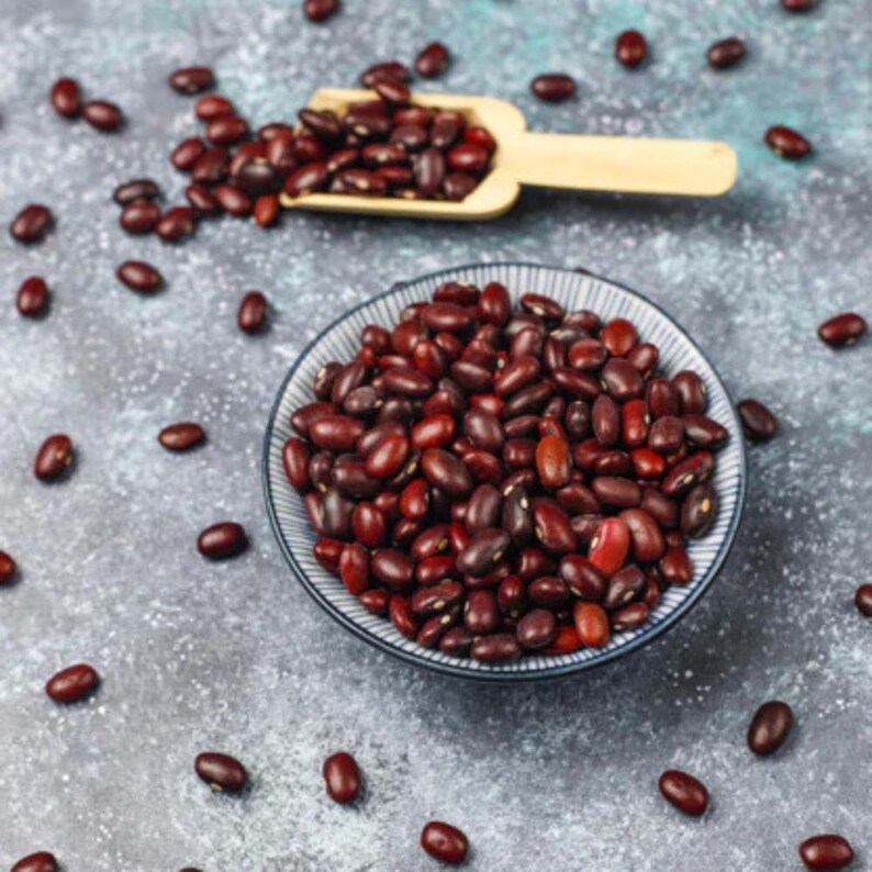 10-30 Jammu Rajma Bean Seeds, Phaseolus vulgaris, Bhaderwah Rajma, Himalayan Kidney Beans image 9