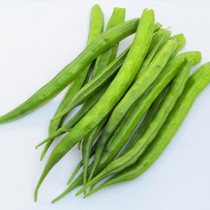 Más de 20 semillas de frijol racimo Neelam, Cyamopsis tetragonoloba, guar imagen 5