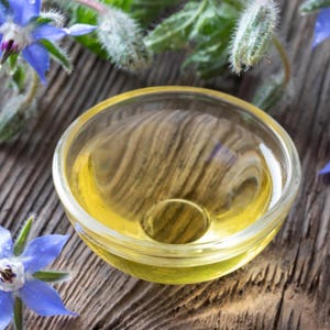 Más de 15 semillas de borraja, Borago officinalis, flor de estrella azul, hierba comestible. imagen 7
