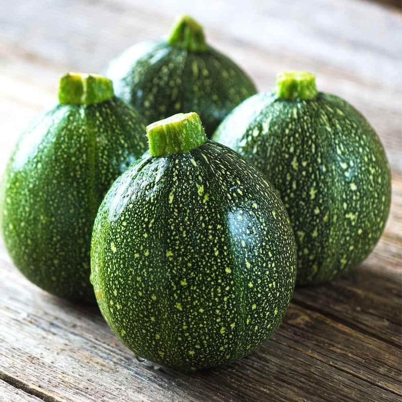 15+ Chappan Kaddu frön, Cucurbita pepo, indisk zucchini, sommarsquash bild 1