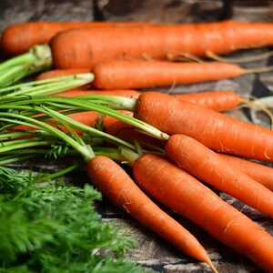 Über 100 orangefarbene Karottensamen (Daucus carota, Gartenkarotte, Wurzelgemüse) Bild 3