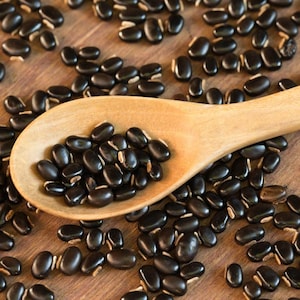 5-10 semillas de Mucuna Pruriens, frijol terciopelo, Mucuna pruriens, Kapikachhu, enredadera tropical, semillas exóticas para jardín imagen 1