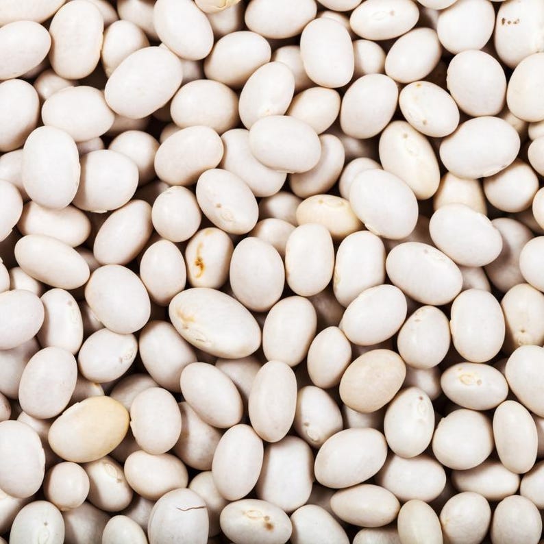 10-30 Sementes de Feijão Branco (Phaseolus vulgaris), Feijão Branco, Feijão Branco Pequeno imagem 1