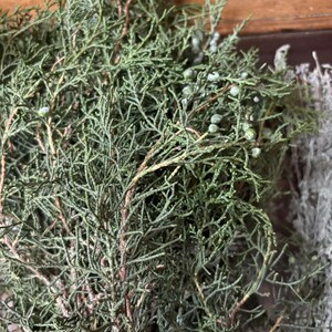 May include: A bundle of dried evergreen juniper branches featuring dense, needle-like dark green foliage and small, round, pale blue-green berries scattered throughout the stems, showcasing a natural, textured, and organic botanical appearance.