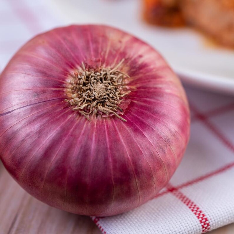 Oltre 50 semi di cipolla rossa selezionati, Allium cepa, cipolla a bulbo rosso, cipolla viola immagine 6