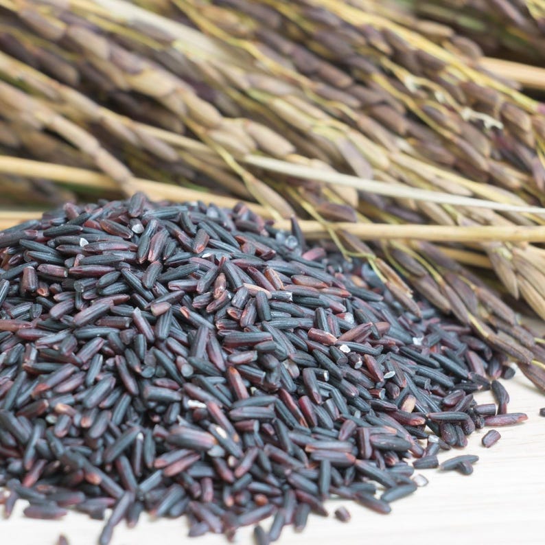 100-1000 risbärsfrön, Oryza sativa, vildt svart ris, lila korn, thairis bild 9