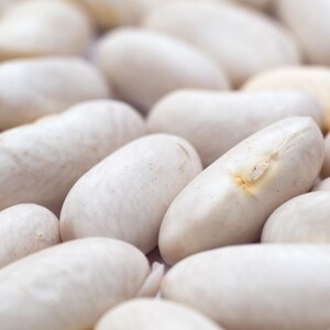 Pu&ograve; includere: Una collezione di fagioli bianchi secchi, ognuno caratterizzato da una superficie liscia e opaca e da una forma ovale allungata. I fagioli sono di colore bianco sporco, con un piccolo e distinto ilo color marrone chiaro visibile sul lato.