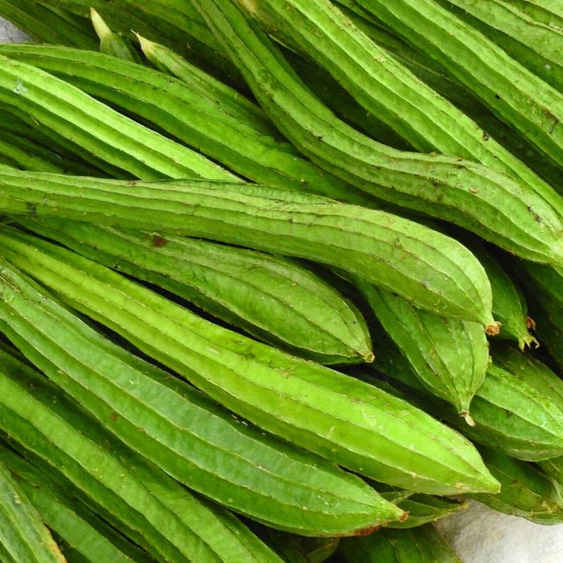10+ lange groene ribbelpompoenzaden, Luffa acutangula, ribbelpompoen, Indiase groente afbeelding 3