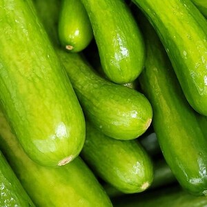 Más de 25 semillas de pepino Beit Alpha, Cucumis sativus, pepino israelí, pepino persa imagen 2