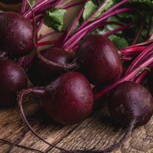 Über 100 Samen der Sorte Rosy Red 555 Rote Bete (Beta vulgaris), Wurzelgemüse Bild 2