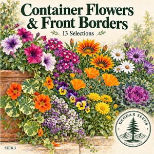 Container Flowers & Front Borders Seeds, 13 Seed Varieties, 1170+  Seeds, Balcony Flowers, Petunia, Verbena