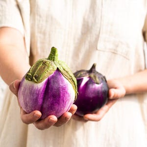 Más de 300 semillas de berenjena redonda morada, Solanum melongena, berenjena redonda morada, berenjena imagen 6