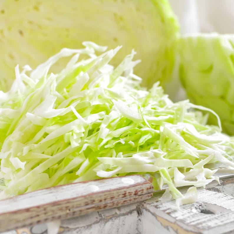 100+ Cabbage Express Seeds, Brassica oleracea, Crucifers image 5