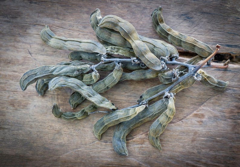 Puede incluir: Un racimo de vainas de semillas de mucuna pruriens secas y curvadas, unidas a un tallo le&ntilde;oso central. Las vainas tienen una superficie texturizada y ligeramente vellosa, dispuestas en una formaci&oacute;n densa y superpuesta de forma alargada.