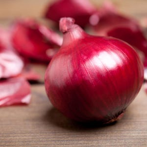 50+ Onion Pusa red Seeds, Red Onion, Onions & Alliums image 1
