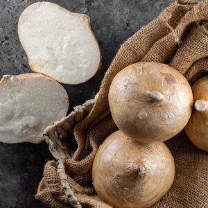 Pu&ograve; includere: Diverse radici di jicama intere con una buccia sottile color marrone chiaro e due pezzi tagliati che mostrano un interno bianco, croccante e amidaceo. Le radici intere sono riposte all'interno di un sacco rustico in tela di iuta intrecciata.