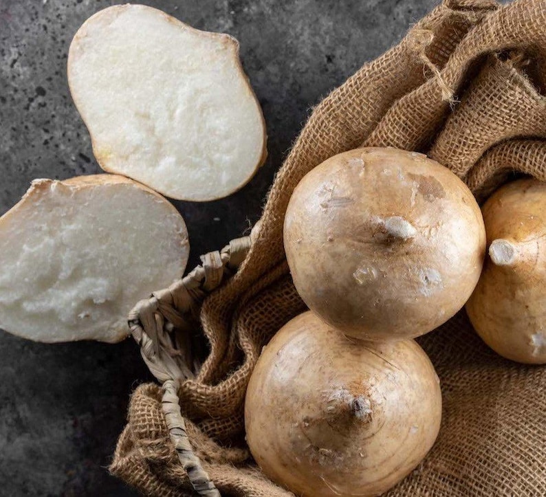 Pu&ograve; includere: Diverse radici di jicama intere con una buccia sottile color marrone chiaro e due pezzi tagliati che mostrano un interno bianco, croccante e amidaceo. Le radici intere sono riposte all'interno di un sacco rustico in tela di iuta intrecciata.