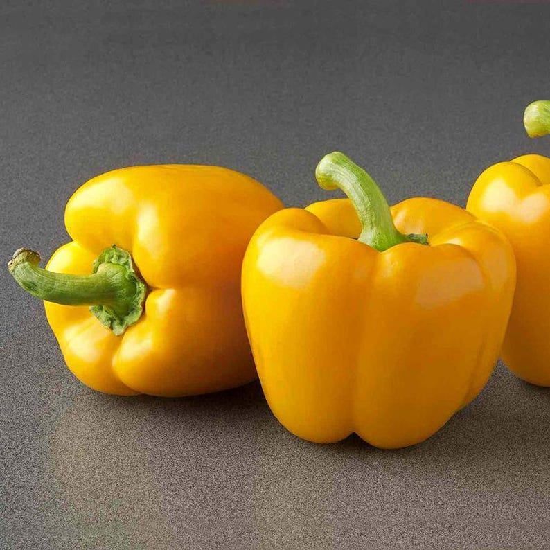 Más de 10 semillas de pimiento amarillo dulce, Capsicum annuum, pimiento morrón amarillo, pimiento dulce suave. imagen 6