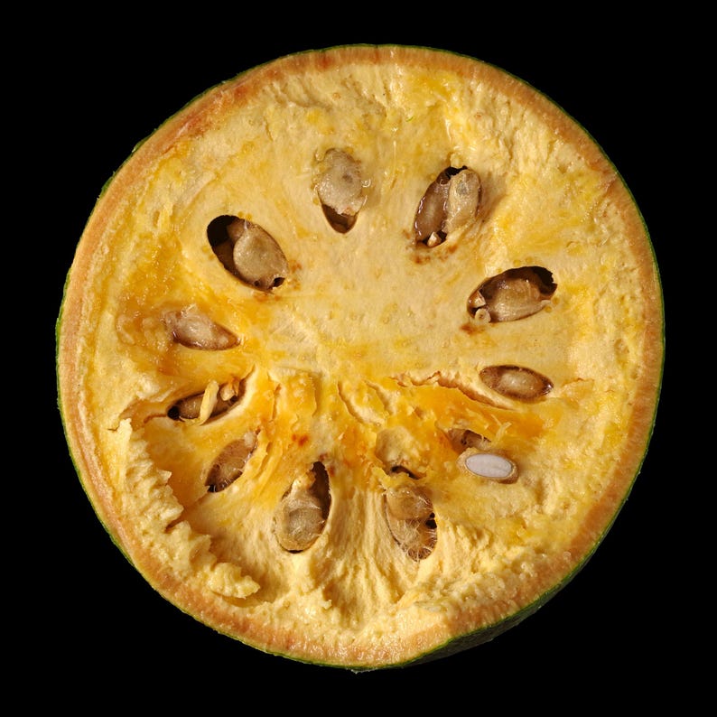 Pu&ograve; includere: Una sezione trasversale di un frutto bael rotondo che mostra una spessa buccia verde chiaro e una polpa fibrosa giallo pallido. Il frutto &egrave; segmentato con diversi semi di forma ovale e colore chiaro incastonati nella polpa umida e strutturata.