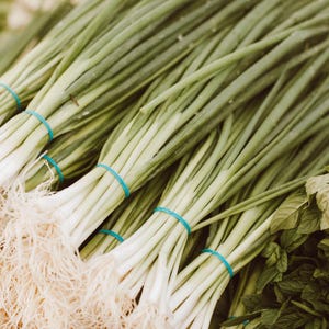 ネギの種30粒以上、学名：Allium fistulosum、白花ネギ 画像 7