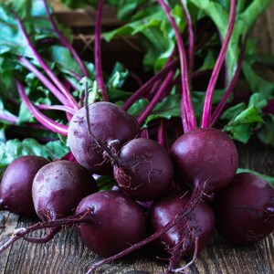Ponad 100 nasion buraka ćwikłowego rubinowego, Beta vulgaris, warzywo korzeniowe zdjęcie 8