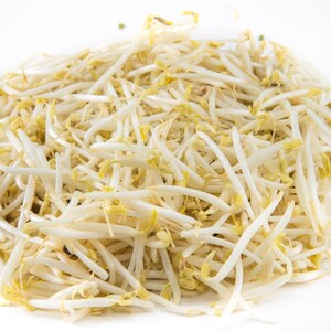20-100 semillas de lenteja amarilla (Moong Dal), Vigna radiata, legumbres y cereales imagen 9