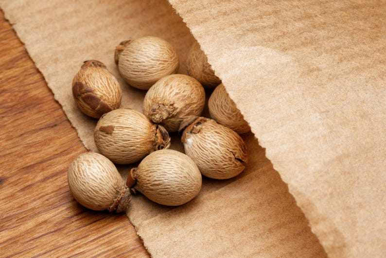 Puede incluir: Un conjunto de semillas peque&ntilde;as, redondas y de color marr&oacute;n claro con una superficie texturizada y fibrosa que se derraman de una bolsa de papel color canela. Las semillas tienen un extremo ligeramente puntiagudo y un aspecto le&ntilde;oso, dispuestas en un grupo sobre una superficie de madera.