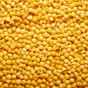 20-100 semillas de lenteja amarilla (Moong Dal), Vigna radiata, legumbres y cereales imagen 8