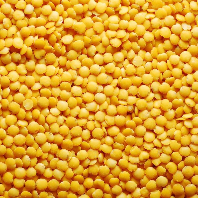 20-100 semillas de lenteja amarilla (Moong Dal), Vigna radiata, legumbres y cereales imagen 8