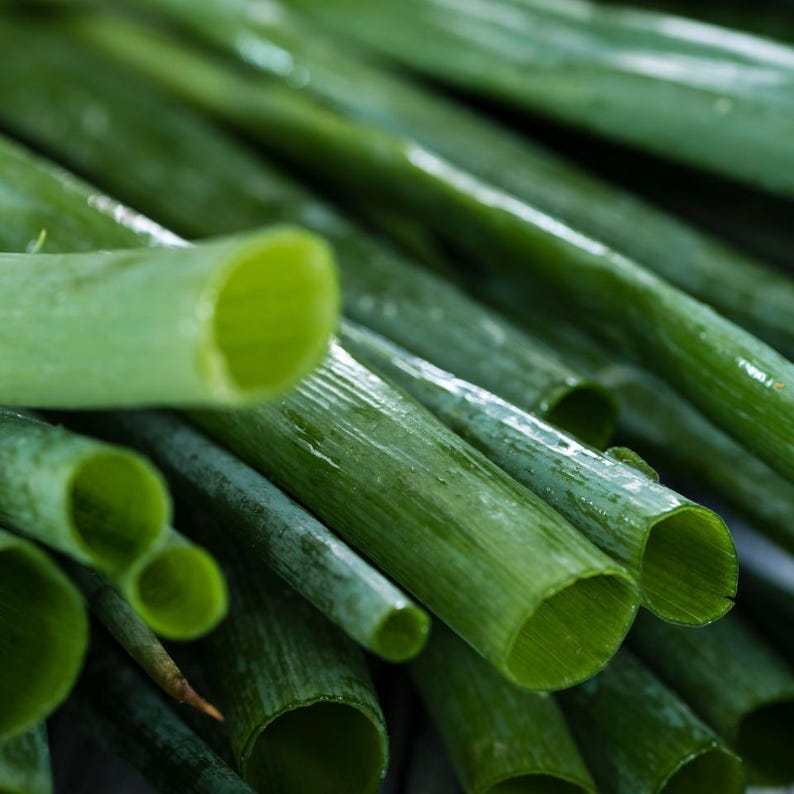 ネギの種30粒以上、学名：Allium fistulosum、白花ネギ 画像 9