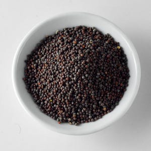 30-300 semillas de mostaza negra, Brassica nigra, mostaza negra india, especia de mostaza imagen 7