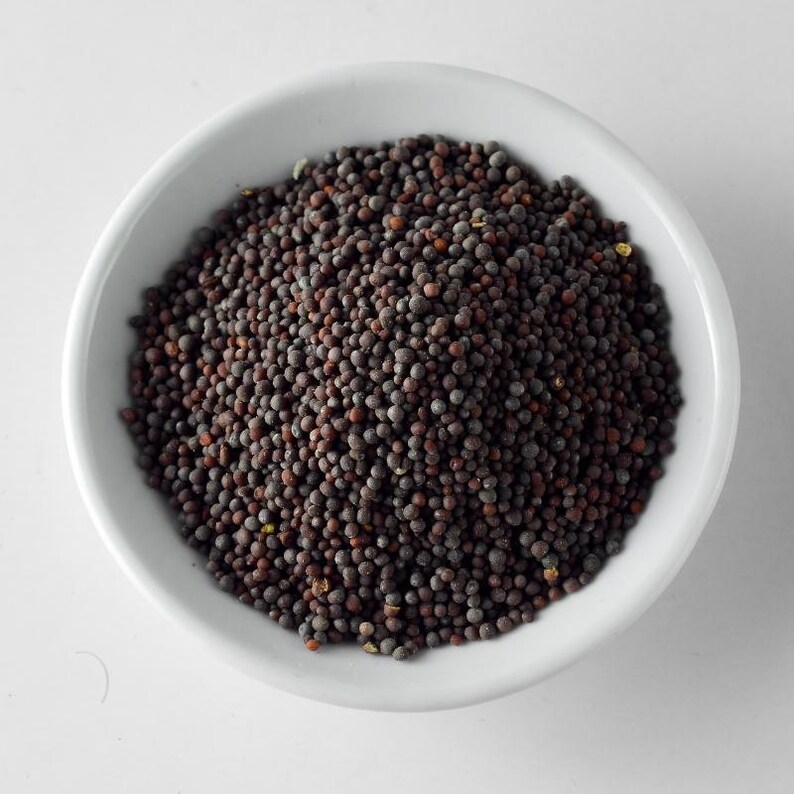 30-300 semillas de mostaza negra, Brassica nigra, mostaza negra india, especia de mostaza imagen 7