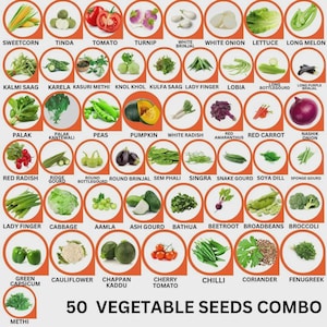 Op de afbeelding: Een raster van 50 groentezaadvari&euml;teiten, elk gelabeld met de naam, waaronder suikerma&iuml;s, tomaat, sla, pompoen en broccoli. De collectie bevat diverse producten zoals okra, radijs, ui en verschillende kalebassen in cirkelvormige kaders.