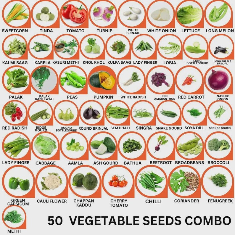 Op de afbeelding: Een raster van 50 groentezaadvari&euml;teiten, elk gelabeld met de naam, waaronder suikerma&iuml;s, tomaat, sla, pompoen en broccoli. De collectie bevat diverse producten zoals okra, radijs, ui en verschillende kalebassen in cirkelvormige kaders.