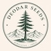 Deodar Seeds