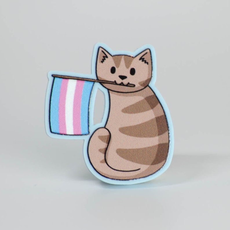 Pride Flag Cat - Acrylic Pin - Pride Rainbow / Progress / Trans / Ace ...