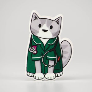 May include: A cartoon cat wearing a green medical uniform with a stethoscope and a pink badge. The cat has grey and white fur.