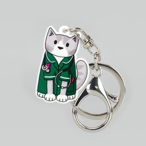 May include: A white and grey cat wearing a green medical scrubs uniform with a stethoscope and a pink bandage. The cat is holding a small white medical syringe. The cat is attached to a silver key chain.