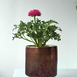 Puede incluir: Una vibrante flor de ranúnculo rosa con hojas verdes plantada en una maceta cilíndrica. La maceta presenta un acabado metálico iridiscente con tonos bronce profundo, cobre y morado oscuro, con un diseño de base escalonada y superficie lisa.