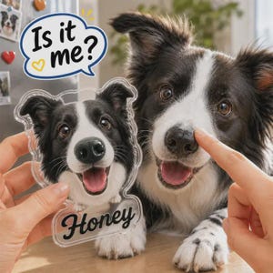 May include: A clear acrylic plaque shaped like a dog head featuring a printed portrait of a black and white Border Collie with the name Honey written in black script at the bottom. A speech bubble graphic above reads Is it me? with a yellow heart.