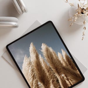 Könnte beinhalten: Ein digitales Tablet zeigt ein Foto von beigem Pampasgras vor blauem Himmel. Das Tablet liegt auf einer weißen Oberfläche, daneben ein silberner Kopfhörer und eine kleine Vase mit getrockneten Pflanzen. Die Szene hat eine minimalistische, natürliche Ästhetik.