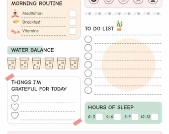 May include: A pink and white daily health planner with sections for morning routine, water balance, mood, to-do list, sleep hours, and positive affirmations. Includes a laptop graphic and space for gratitude.