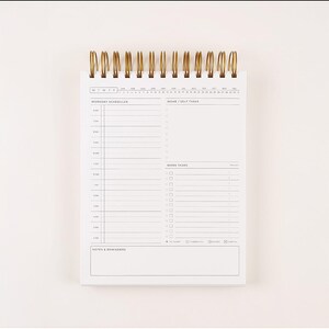 Pode incluir: Um planejador branco com espiral e espiral de metal dourado. O planejador está aberto em uma página com um layout de programação diária, incluindo seções para horários de trabalho, tarefas domésticas/pessoais, tarefas de trabalho e notas.
