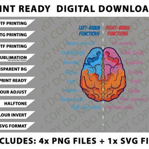 Op de afbeelding: Digitale downloadafbeelding met een kleurrijke illustratie van een hersen, verdeeld in linker- en rechterhelften. De afbeelding bevat tekstlabels voor hersenfuncties en bestandsopties zoals PNG en SVG. De tekst "Print Ready Digital Downloads" staat bovenaan.