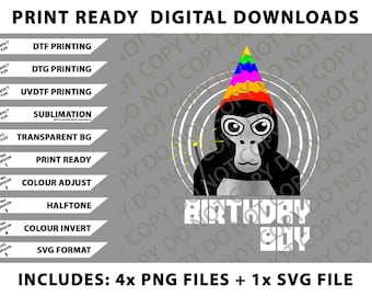 Gorilla Tag Birthday Boy VR Gamer Shirt for Kids Teen Png Bundle, SVG Files, Digital Downloads