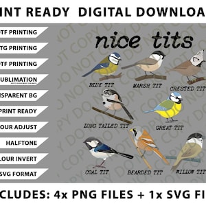 May include: Digital download graphic featuring illustrations of various bird species, including Blue Tit, Marsh Tit, and Great Tit. The image includes text that reads "nice tits" and "Print Ready Digital Downloads."